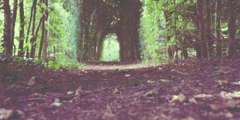 从实验室到全球药厂:泰诺化工如何以精细化工与特种材料技术,构建符合FDA/EMA认证的GMP中间体质量长城