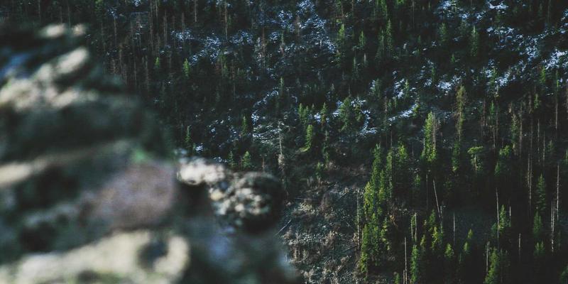 从工业原料到能源心脏：特种化学品如何重塑新能源电池的未来格局