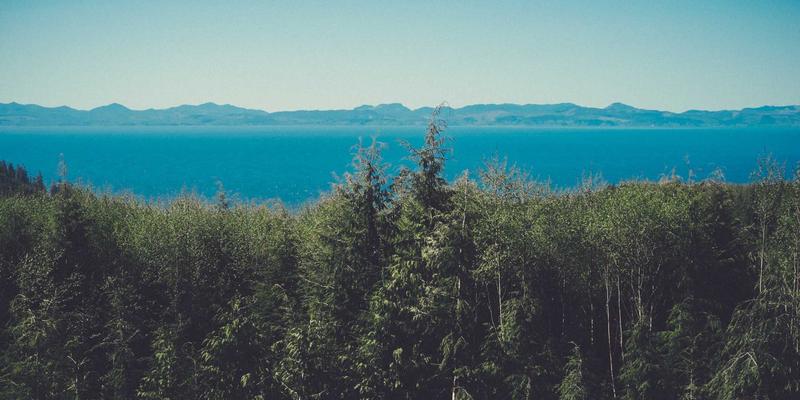 从工业原料到芯片基石:泰诺化工特种材料如何重塑半导体未来