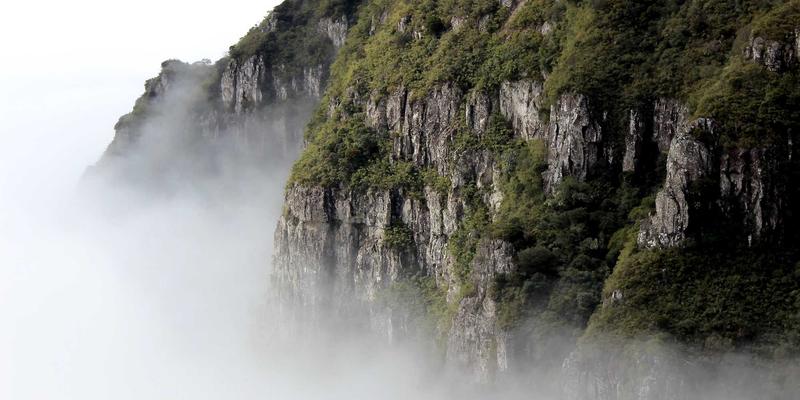 从工业溶剂到新药引擎：泰诺化工CDMO模式如何重塑医药研发效率