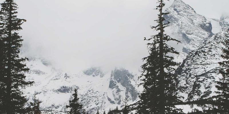 微反应器如何革新特种化学品合成？泰诺化工以过程强化技术引领高效安全生产新范式