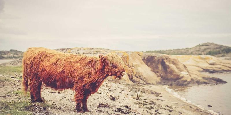 解密泰诺化工:顶尖研发团队如何驱动特种材料创新与产业协同