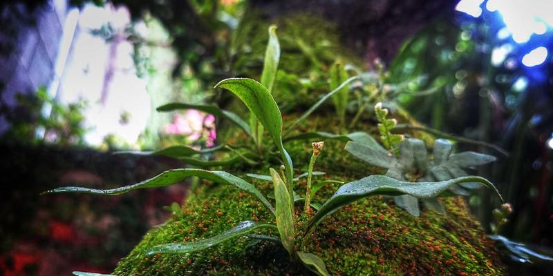 解锁工业新维度:泰诺化工MOFs材料如何革新气体处理与催化工艺