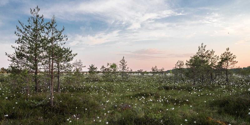 解锁材料潜能：泰诺化工功能性硅烷如何重塑复合材料与粘合剂性能边界